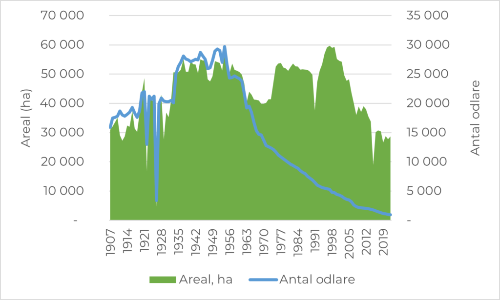 Areal antal odlare 1907-2019