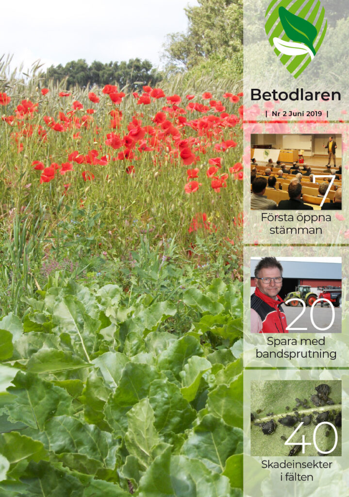 Betodlaren 2019:2, framsidan