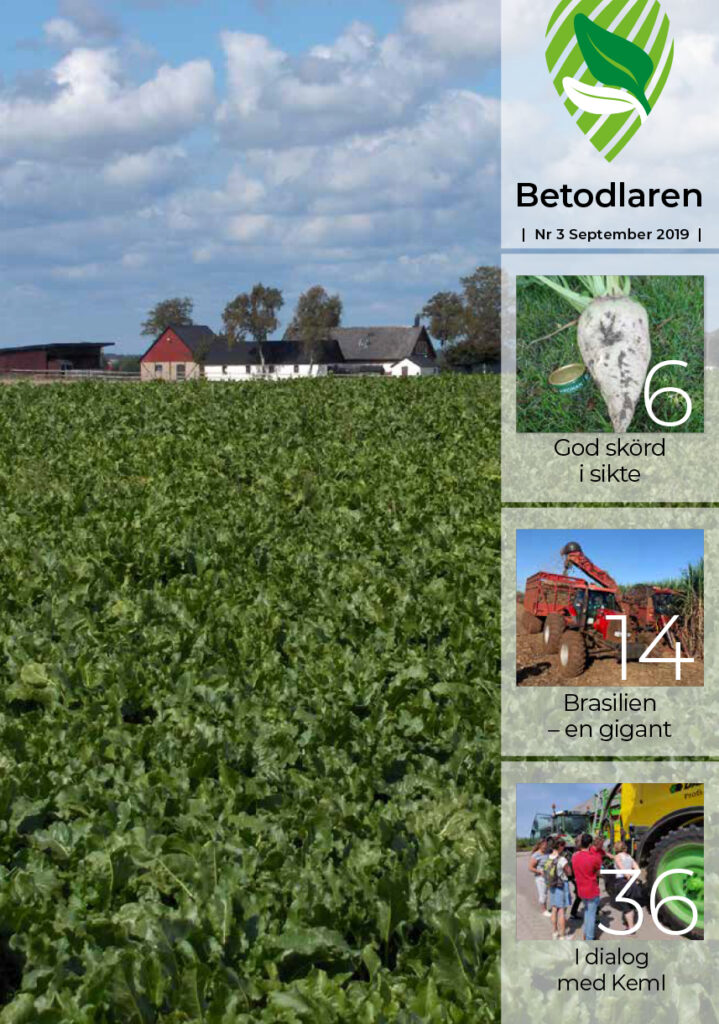 Läs/ladda ned detta nummer Betodlaren 2019:3, framsidan
