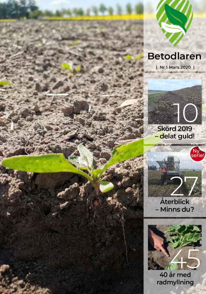 Betodlaren 2020:1, framsidan