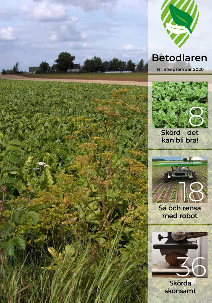 Betodlaren 2020:3, framsidan