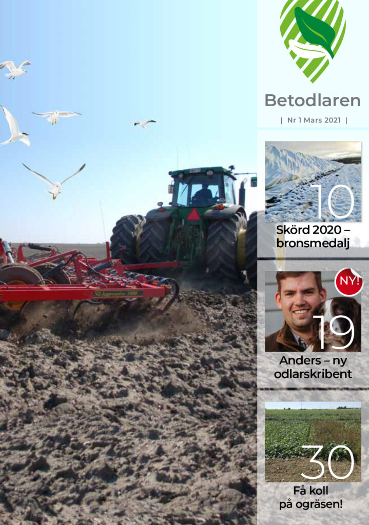 Betodlaren 2021:1, framsidan