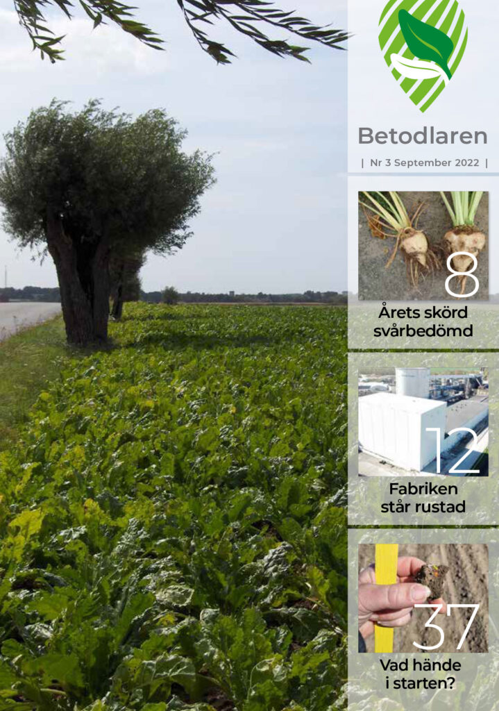 Betodlaren 2022:3, framsidan