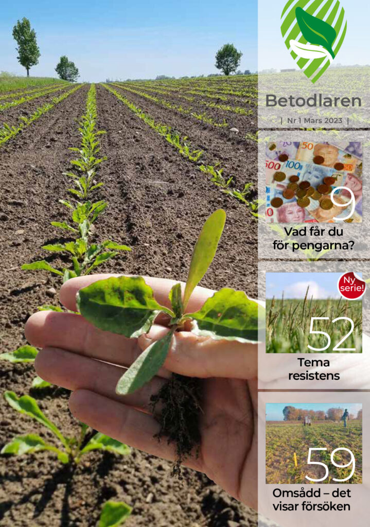 Betodlaren 2023:1, framsidan