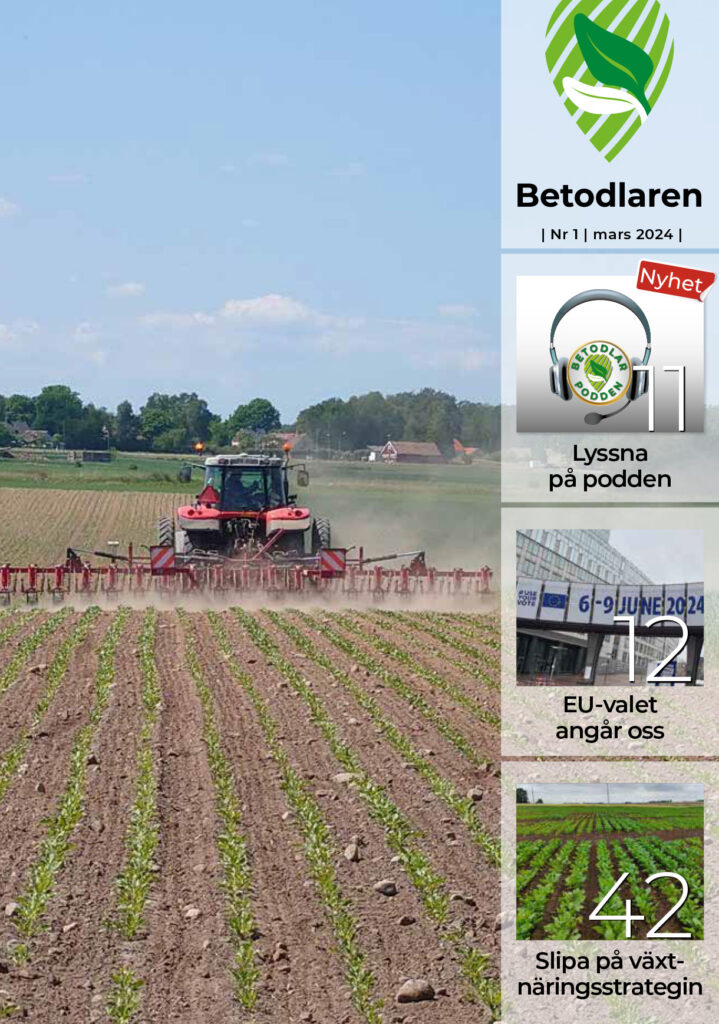 Betis Nr 1 2024 Ettan