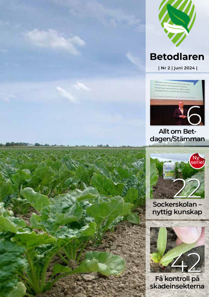 Betis Nr 2 2024 Ettan