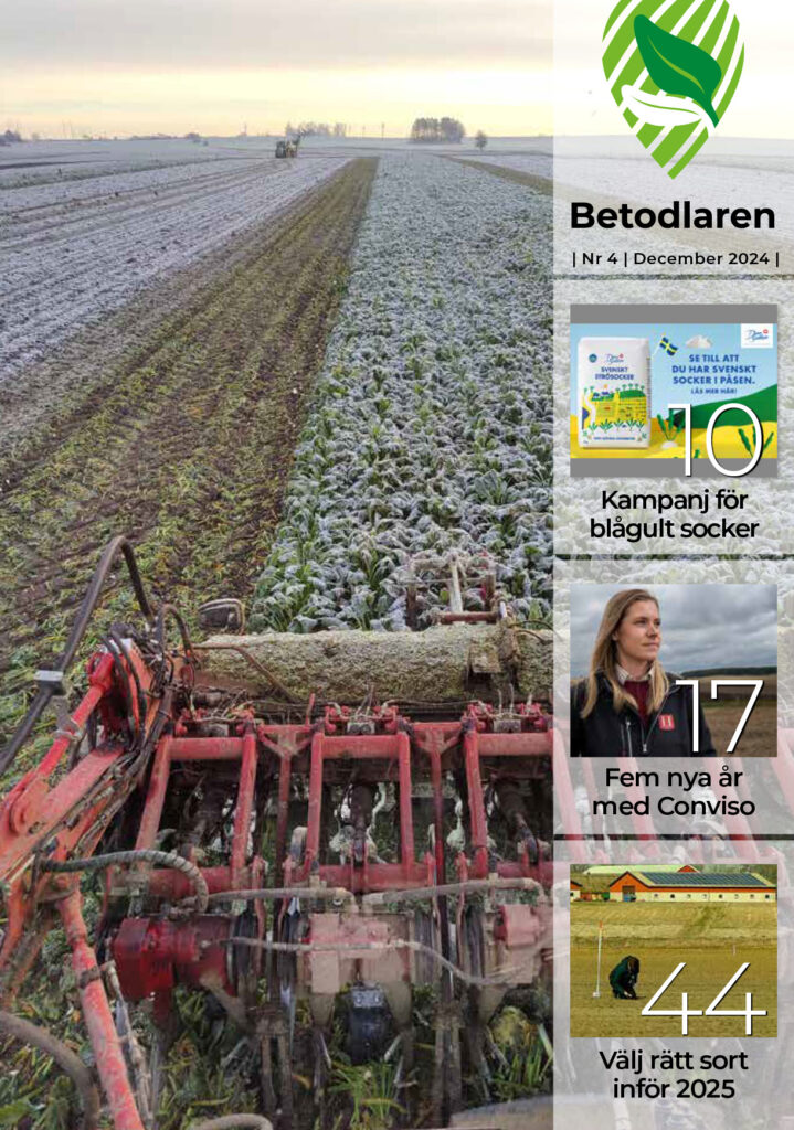 Betodlaren Nr 4 2024