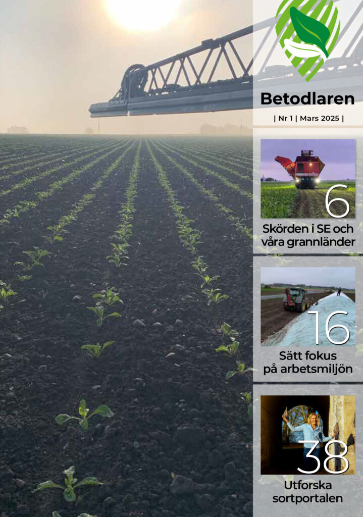 Betodlaren nr 1 2025 omslag